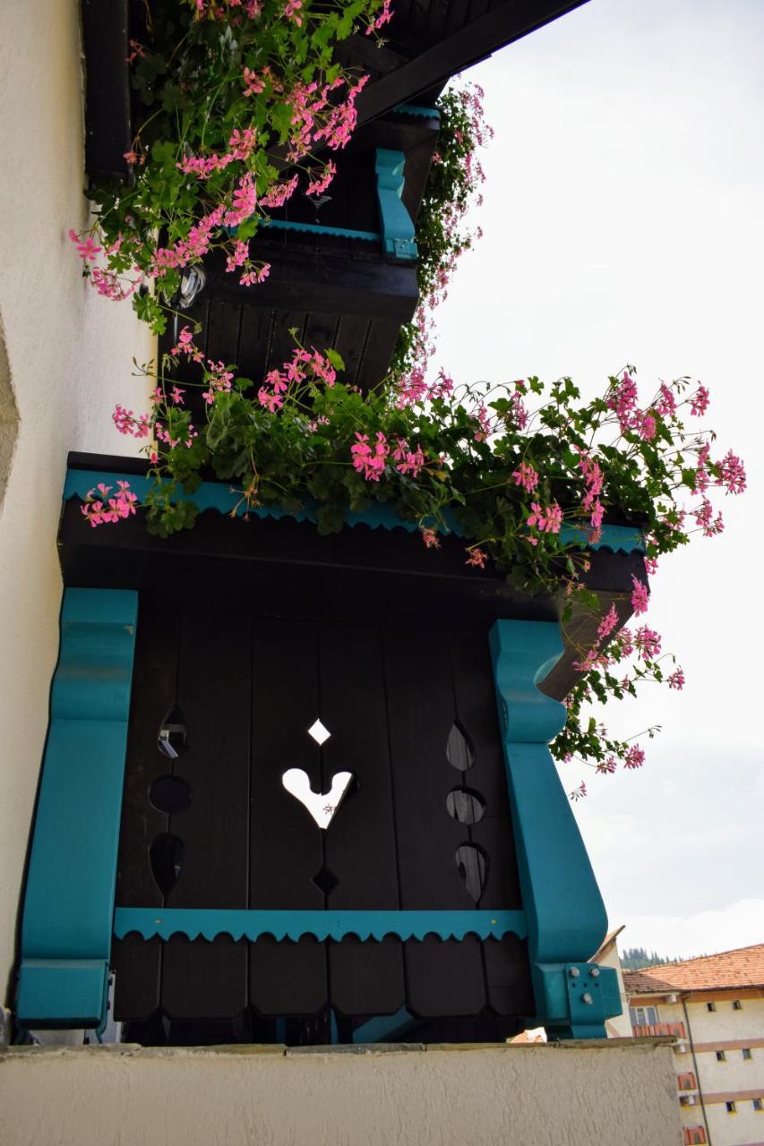 Vila Seva Vatra Dornei Exterior foto